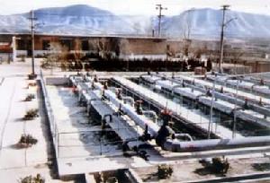 活性污泥法 活性污泥法